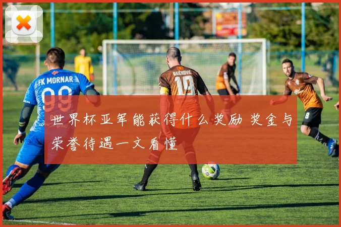世界杯亚军能获得什么奖励 奖金与荣誉待遇一文看懂