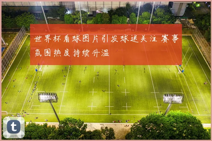 世界杯看球图片引发球迷关注 赛事氛围热度持续升温