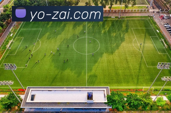 博鱼首页官网APP 封面图